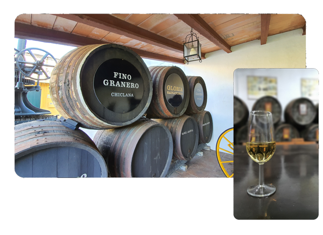 Bodega Manuel Aragón y Viñas en Campano Bodega Manuel Aragón y Viñas en Campano