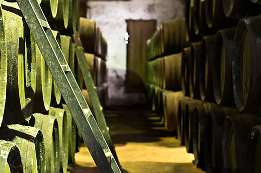 Bodega Manuel Aragón tradición y futuro