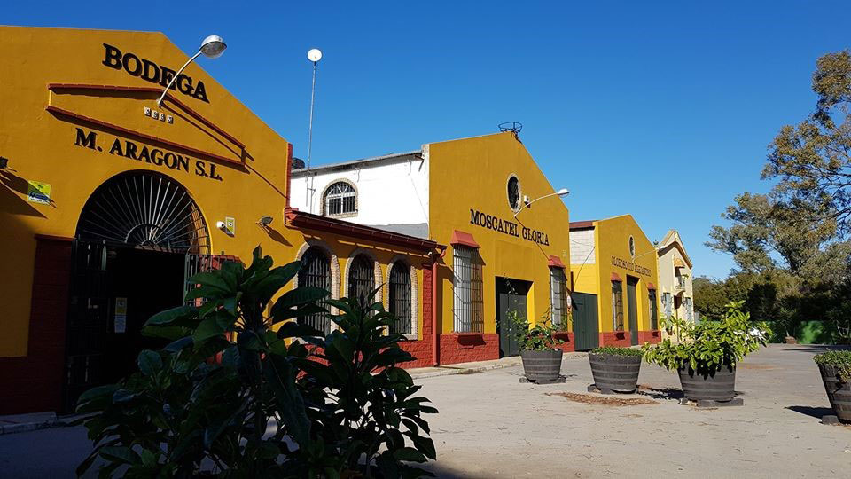 Cascos de Bodega vistos desde el exterior de la Bodega Manuel Aragón en Campano 