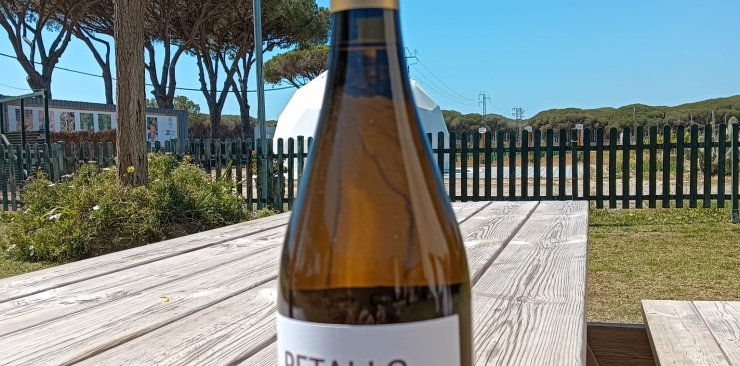 El Vermut Artesano Manuel Aragón y el vino blanco Retallo obtienen la distinción VinEspaña de plata en el concurso nacional celebrado en Jumilla